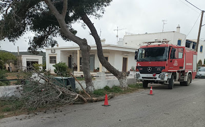 ΚΥΘΗΡΑ:ΠΤΩΣΗ ΞΕΡΟΥ ΚΛΑΔΙΟΥ ΣΤΑ ΤΣΙΚΑΛΑΡΙΑ ΑΜΕΣΗ ΕΠΕΜΒΑΣΗ ΠΥΡΟΣΒΕΣΤΙΚΗΣ ΚΑΙ ΠΟΛΙΤΙΚΗΣ ΠΡΟΣΤΑΣΙΑΣ