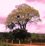 Bahia - Terra de Todos os Santos