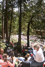 Stern Grove Festival