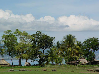 Timor Leste in Picture