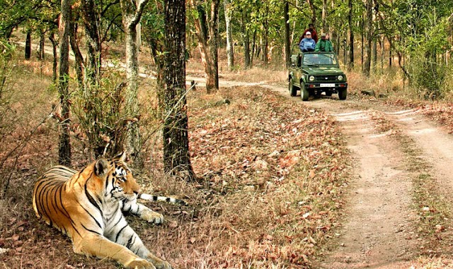 Want to know the best way to reach Jim Corbett? Here it is…