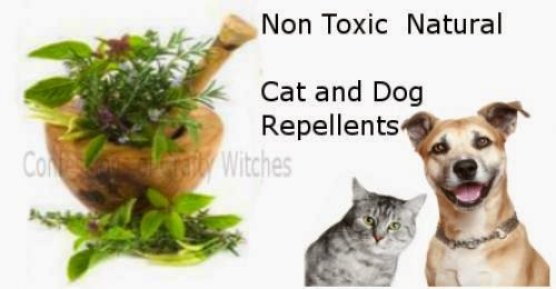 Non Toxic Natural Cat And Dog Repellents