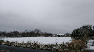 雪景色