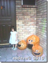 DSC00184