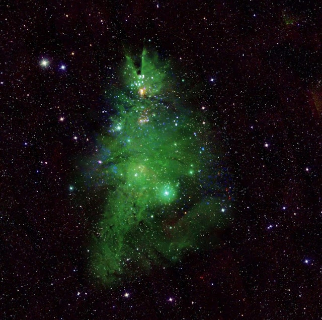 Изображение NGC 2264