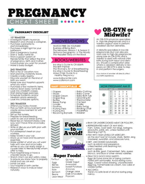 DesignOrganized Pregnancy  Cheat Sheet Checklist  