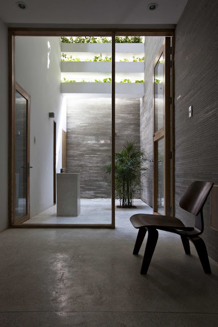 Photo of small chair by the balcony protected with vegetation on the facade