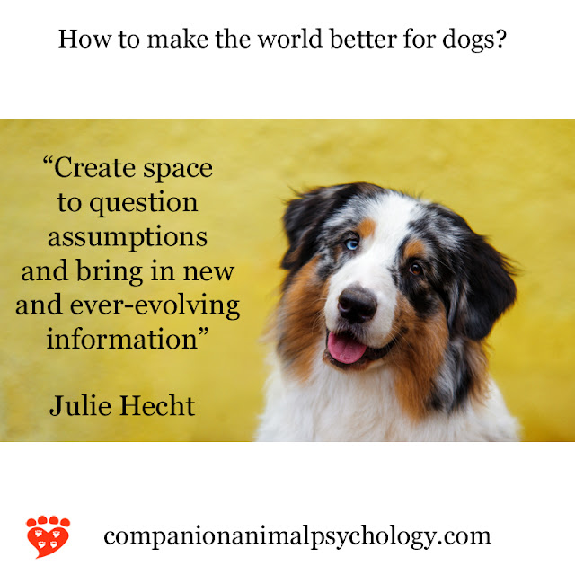 Create space to question assumptions, says Julie Hecht with this happy Australian Shepherd