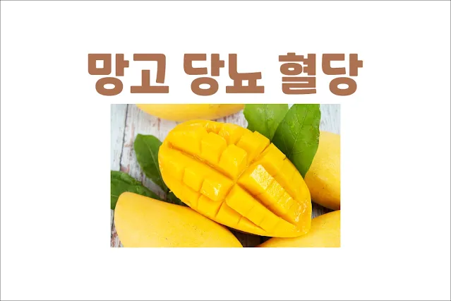 망고-당뇨-혈당-효능