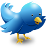 Desenho de um pássaro azul (símbolo do aplicativo Twitter).