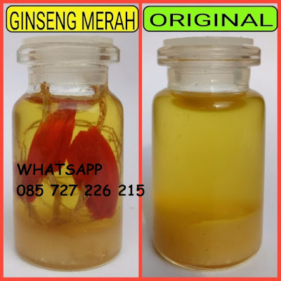 Jual Minyak Bulus Untuk Pria Ampuh WA 085727226215 Minyak%20bulus%20pembesar