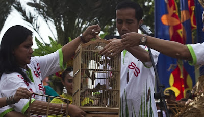 Pemerintah DKI didesak untuk membuat larangan menangkap burung di taman kota