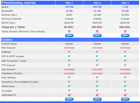 Professional Hosting USA