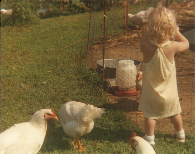 raising chickens