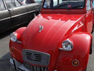 2017.03.26-012 2 chevaux