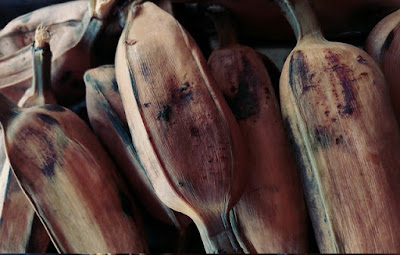 pisang rebus boiled banana