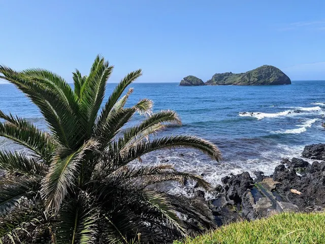 Palm tree overlooking the ocean and Ilheu de Vila Franca on São Miguel Island in the Azores