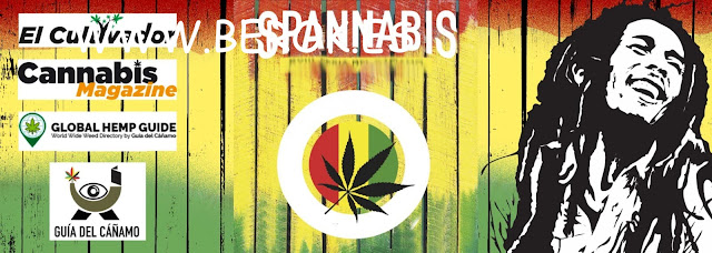 graffiti spannabis