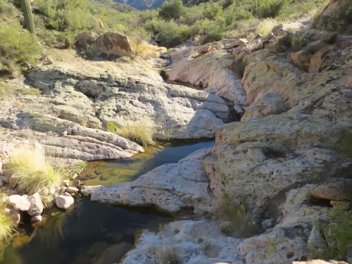 HikingAroundBlackTopMesa-29-2013-12-27-15-04.jpg