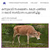 National Livestock Mission: Manorama reports my RTI 