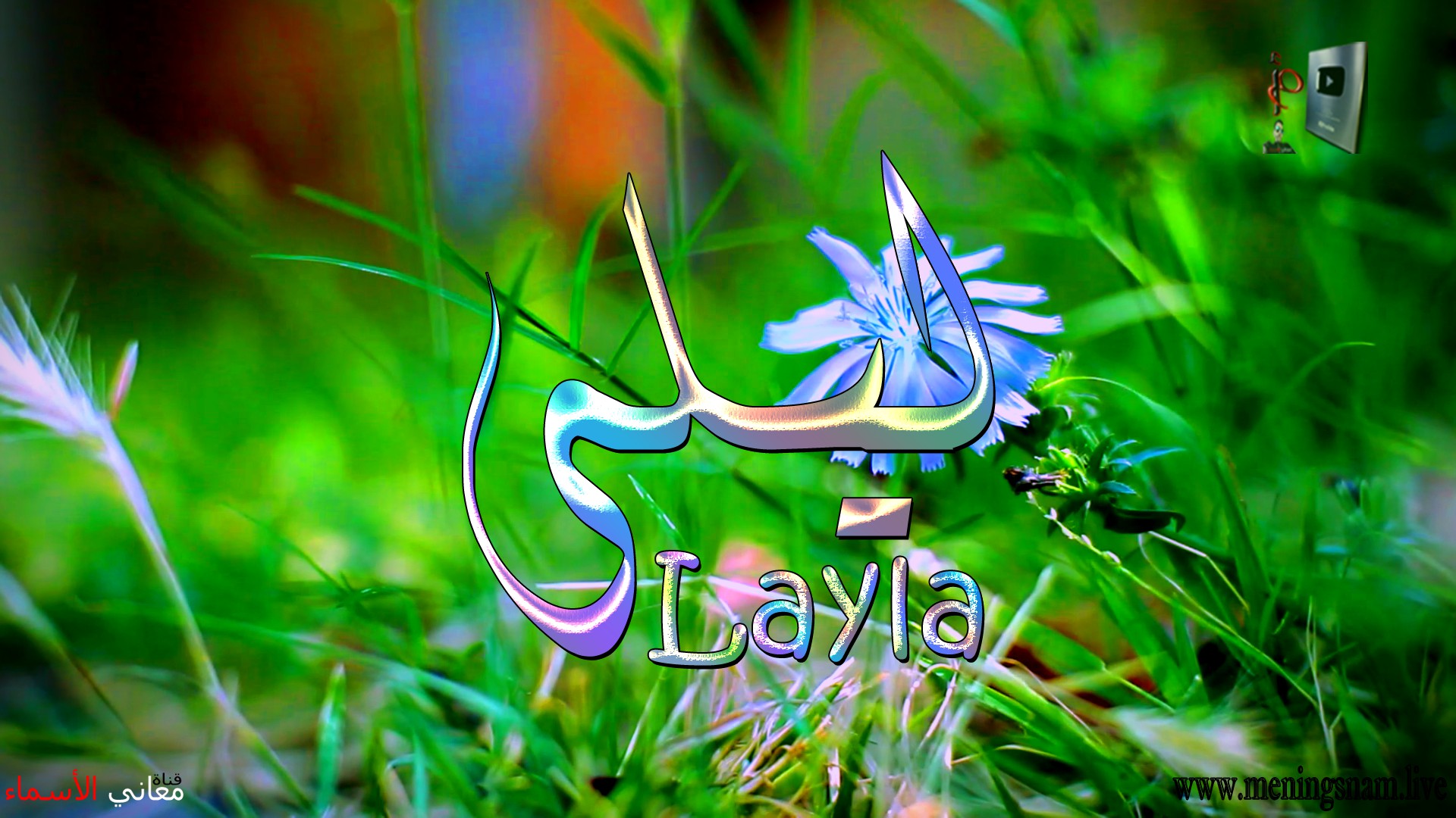 معنى اسم, ليلى, وصفات, حاملة, هذا الاسم, Layla,