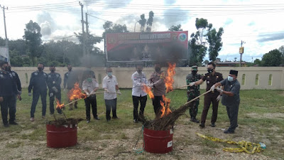 Dir Reserse Narkoba Polda Sumsel : Pimpin Pemusnahan 288 Ganja Dihalaman Polres Muratara