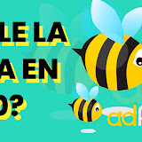 🏅 Adfly: Como ganar dinero con Adfly 2021 [La forma más facil] ✔