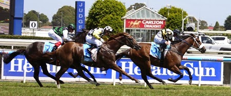 race 8 _finish 2