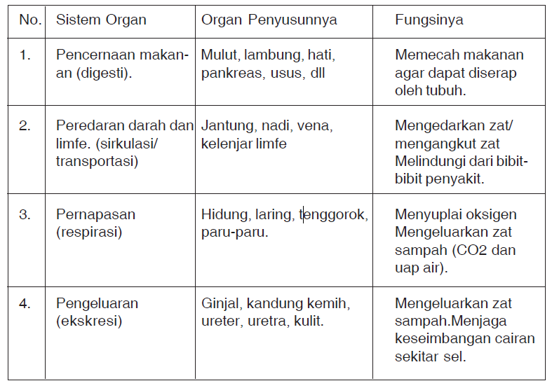 Sistem Organ pada Mamalia dan Manusia  Pintar Biologi