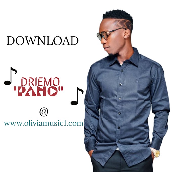 WATCH "PANO"  VIDEO AND DOWNLOAD MP3 BELOW  by Driemo 