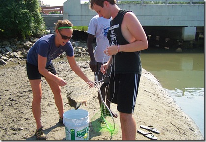 Crabbing9