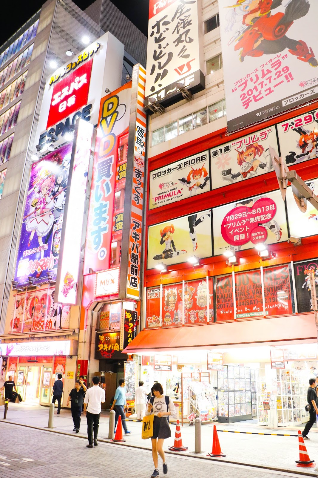Guide to what to do in Akihabara
