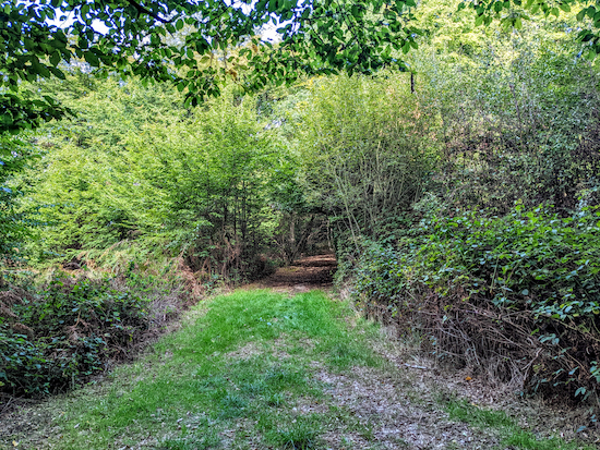 Turn right on Cheshunt footpath 32