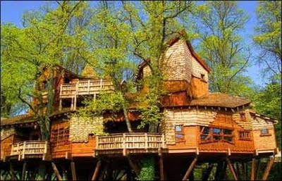 Tree Houses: World Most Amazing Tree Houses 