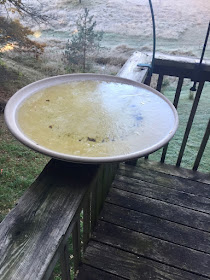 first frozen birdbath of the season