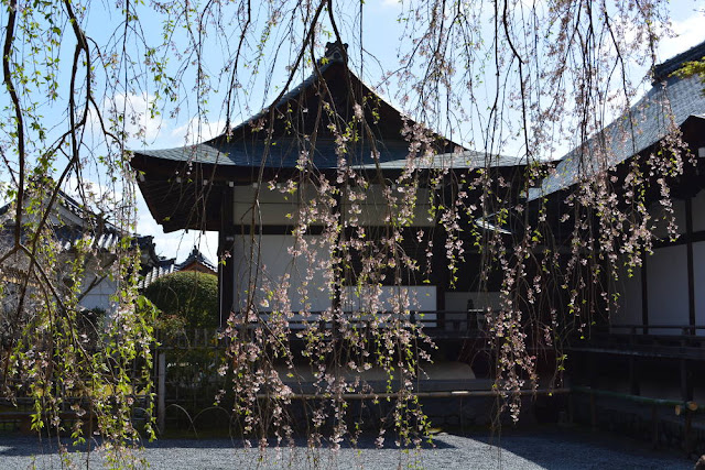 Arashiyama, tenryu-ji, sakura, avril 2019