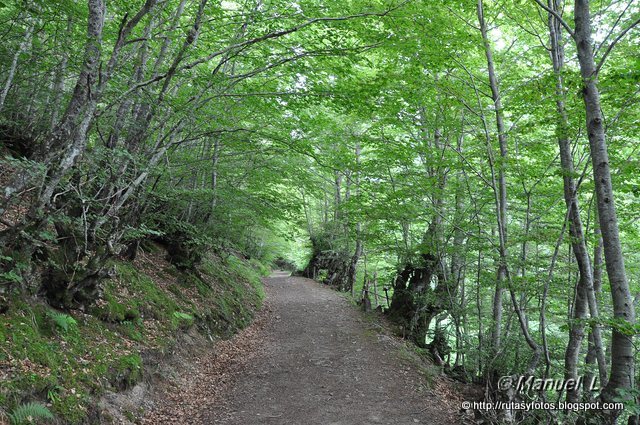 Los Robles y Cascada del Taballon del Mogallu