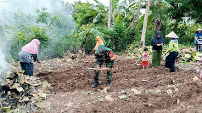 Babinsa Kodim 0421/Ls Tingkatkan Ketahanan Pangan di Desa Binaan