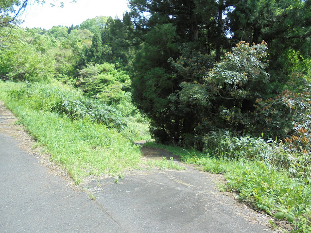 別所川渓流へ降りる道