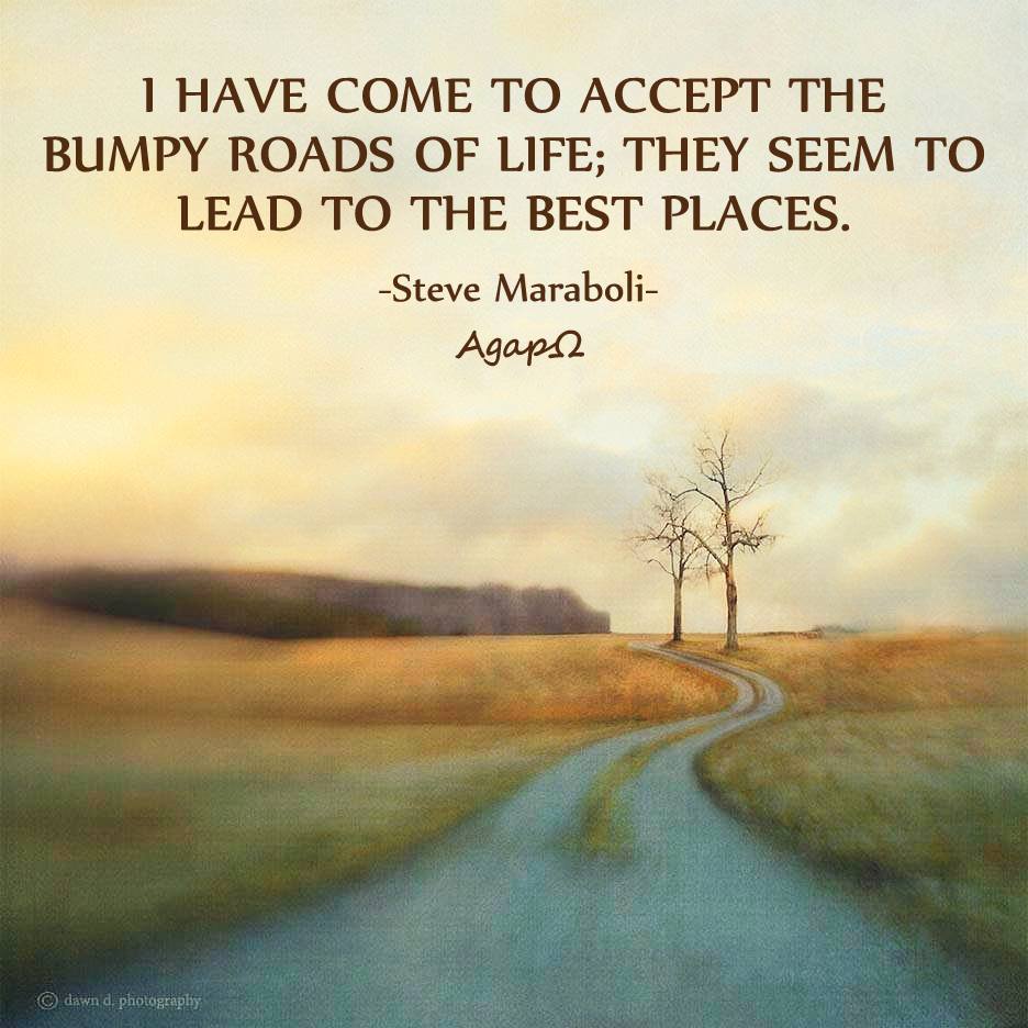 I have come to accept the bumpy roads of life; they seem to lead to the