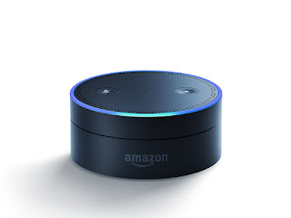 Amazon Echo which is very popular has Alexa voice assistant