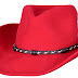 Stylish Stetson Hats Collection 2012-13