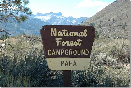 Paha Sign