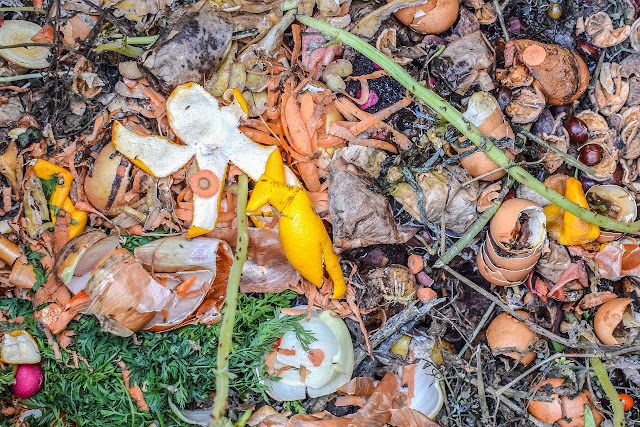 Bacteria use enzyme to decompose food scraps, so the large surfaces areas will speed up the decomposition work of bacteria.