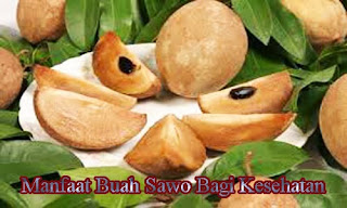 Manfaat Buah Sawo