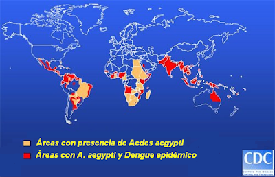 Zonas de distribución del Dengue