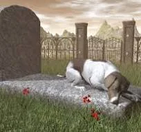 A Bond Beyond Life: The Unwavering Loyalty of a Dog