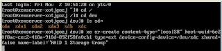 sr-create command in the XenServer console for creating a new storage container to use for guest operating systems.