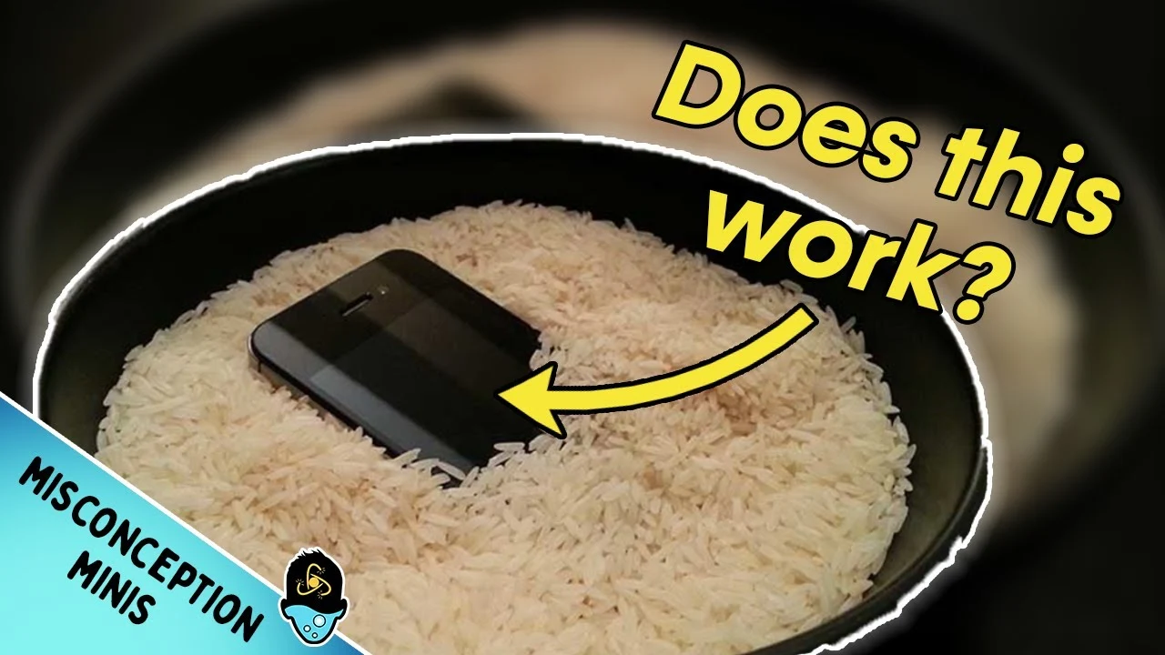 The Rice Myth