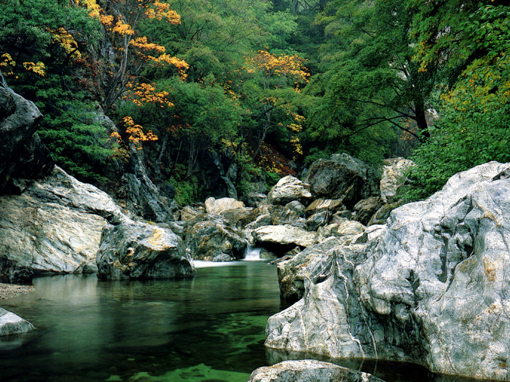 YoNg Phii Taphii Sungai Nii Gan